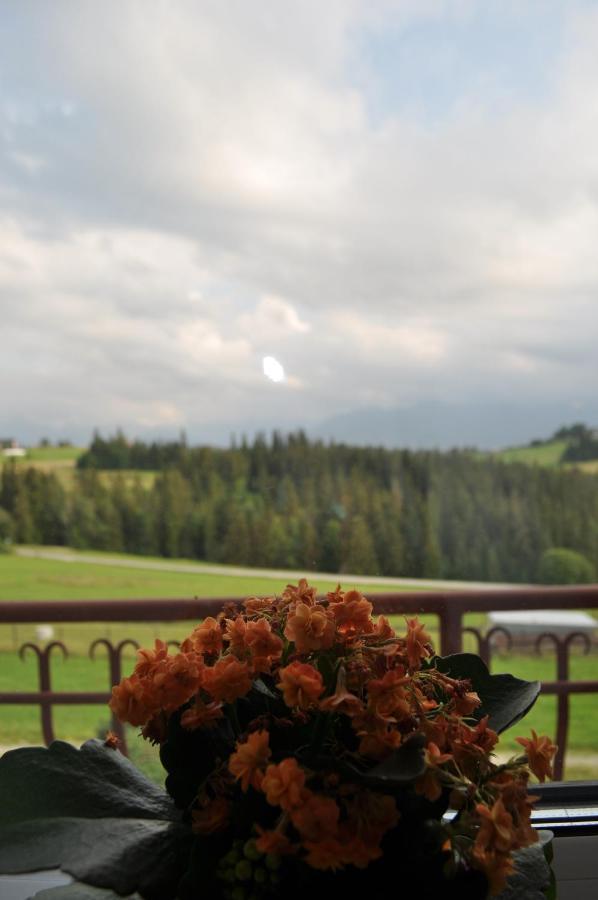 Homestay U Marysi Lesnica (Lesser Poland)